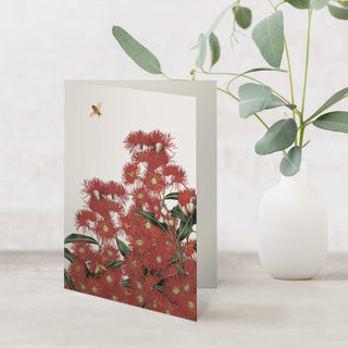 Eucalyptus Greeting Card - Red Flowering Gum