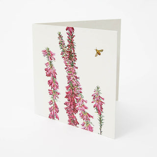 Floral Emblems Art Card - Common Heath (VIC)