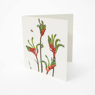 Floral Emblems Art Card - Red & Green Kangaroo Paw (WA)