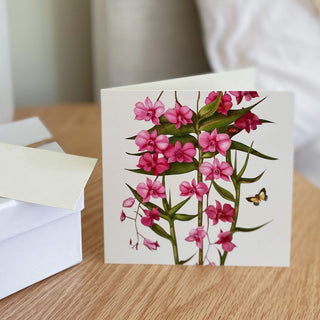 Floral Emblems Art Card - Cooktown Orchid (QLD)