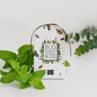 Bush Essentials Gift Set