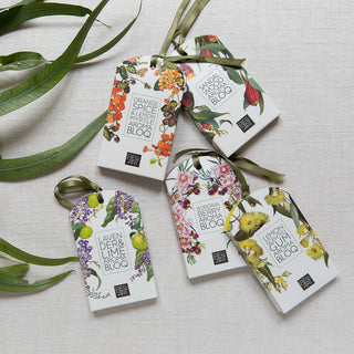 Aroma Bloq Discovery Set