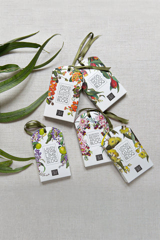 Aroma Bloq Discovery Set