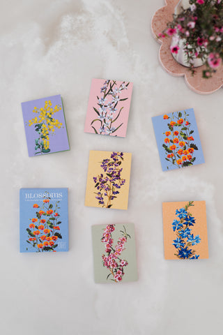 Blossoms Boxed Florist Cards