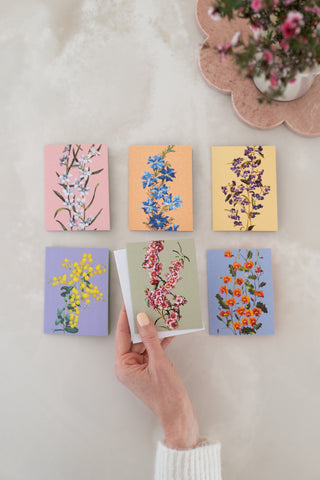 Blossoms Boxed Florist Cards