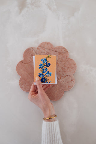 Blossoms Boxed Florist Cards