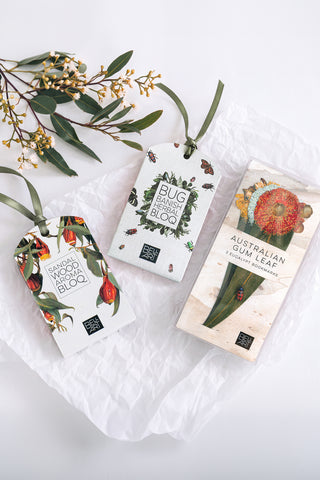 Bush Essentials Gift Set