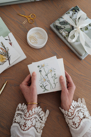 Bush Gems Card - Flannel Flower