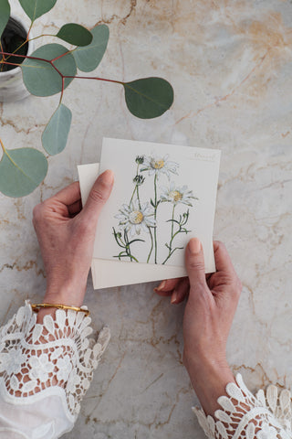Bush Gems Card - Flannel Flower