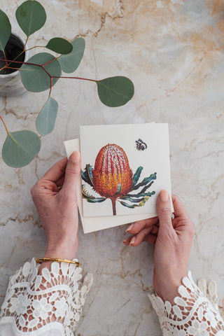 Bush Gems Card - Banksia