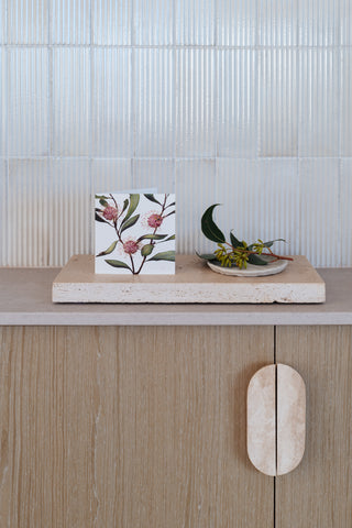 Bush Gems Card - Pin Cushion Hakea