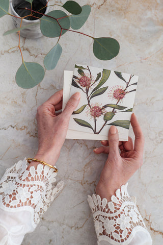 Bush Gems Card - Pin Cushion Hakea
