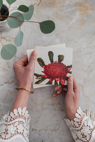 Bush Gems Card - Waratah