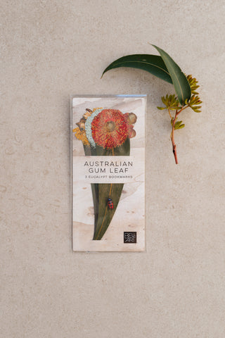 Bush Essentials Gift Set