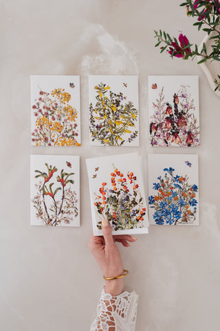 Woodlands Boxed Cards