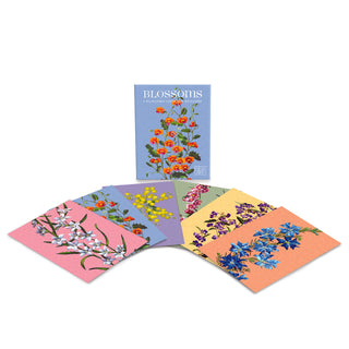 Blossoms Boxed Florist Cards