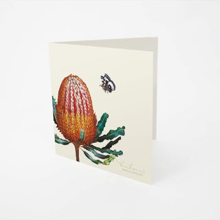 Bush Gems Card - Banksia