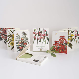 Eucalyptus Boxed Cards