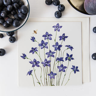 Floral Emblems Art Card - Royal Bluebell (ACT)