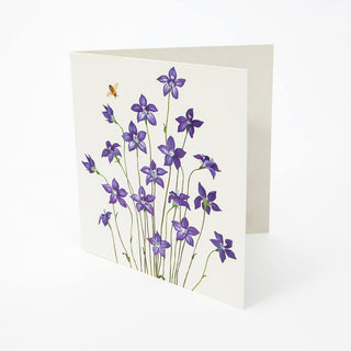 Floral Emblems Art Card - Royal Bluebell (ACT)