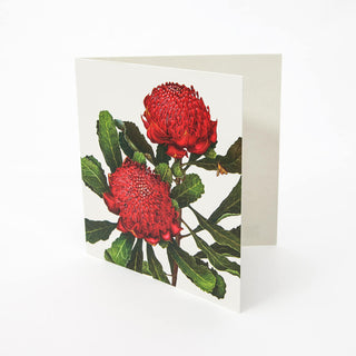Floral Emblems Art Card - Waratah (NSW)