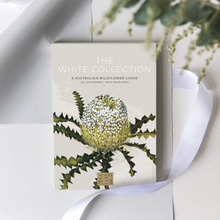 White Collection Boxed Cards
