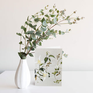 White Collection Greeting Card - Clematis