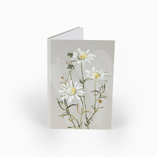 White Collection Notepad - Flannel Flower