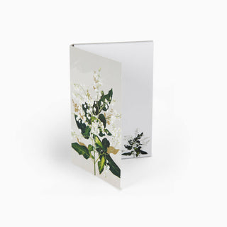 White Collection Notepad - Hardenbergia