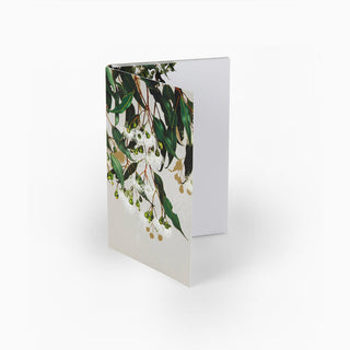 White Collection Notepad - Marri Gum
