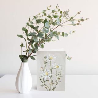 White Collection Greeting Card - Flannel Flower