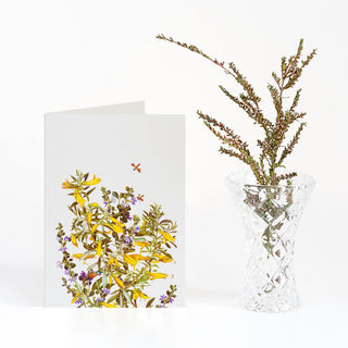 Woodlands Greeting Card - Emu Bush & Fan Flower
