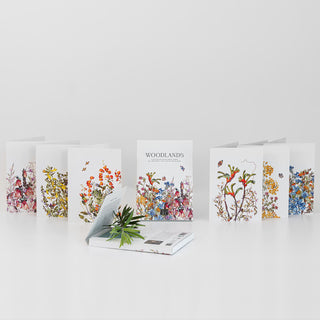 Woodlands Boxed Cards