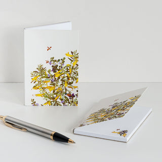 Woodlands Notepad - Emu Bush & Fan Flower