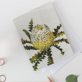 White Collection Greeting Card - Showy Banksia