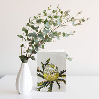 White Collection Greeting Card - Showy Banksia