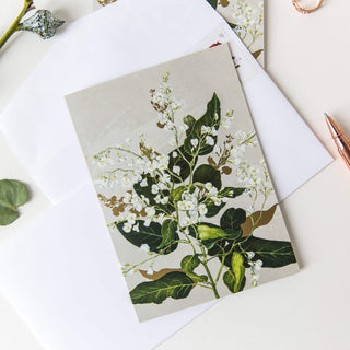 White Collection Greeting Card - Hardenbergia