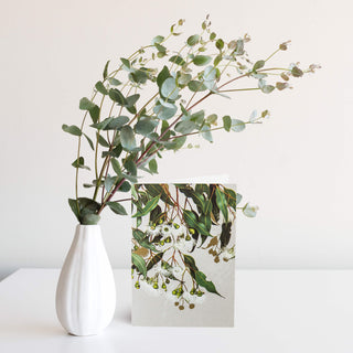 White Collection Greeting Card - Marri Gum