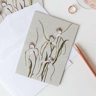 White Collection Boxed Cards
